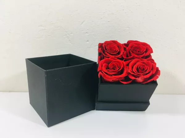Preserved Flowers