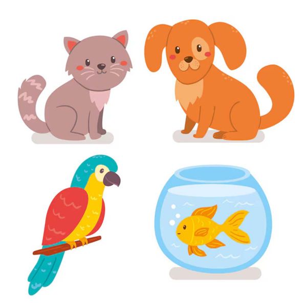 Pet Animals, Fishes and Plants
