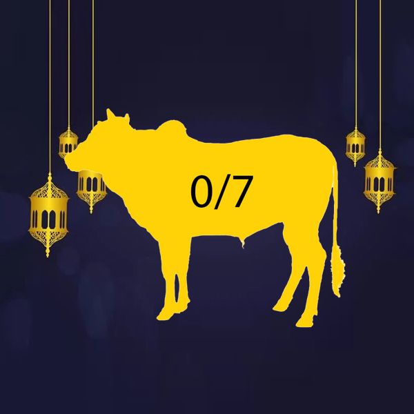 Shared Qurbani