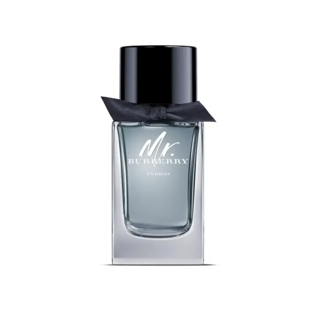 MR. BURBERRY INDIGO
