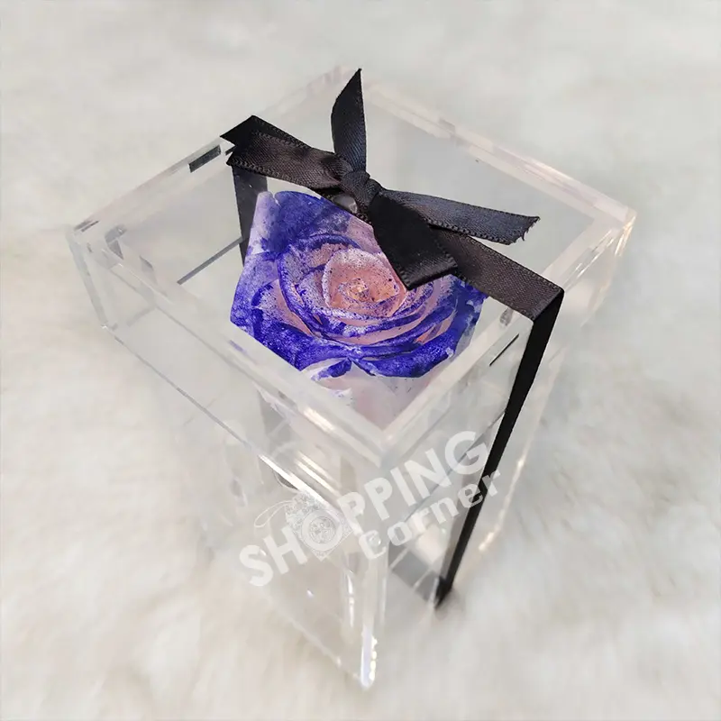 Single Eternal Multi Color Preserve Rose In An Acrylic Box