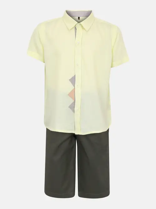 Lime Green Printed Cotton Shirt Pant Set 02