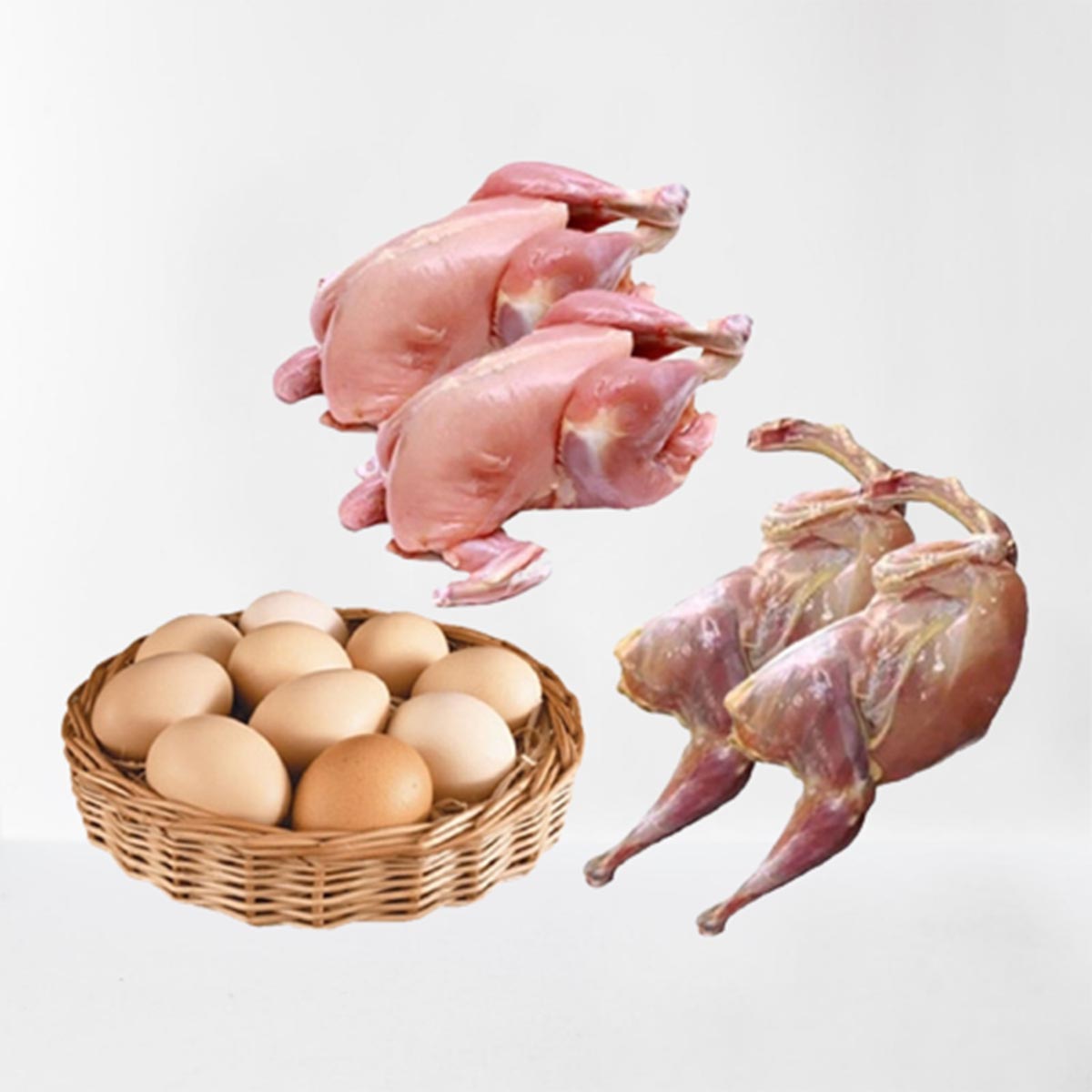 Combo for Chicken 01
