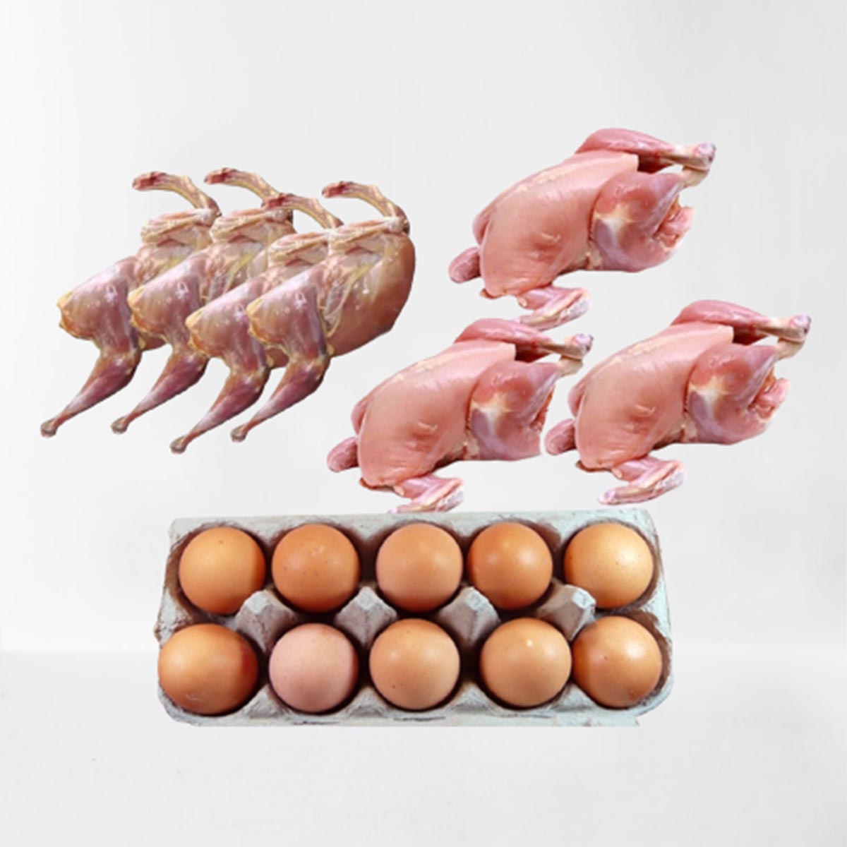 Combo for Chicken 02