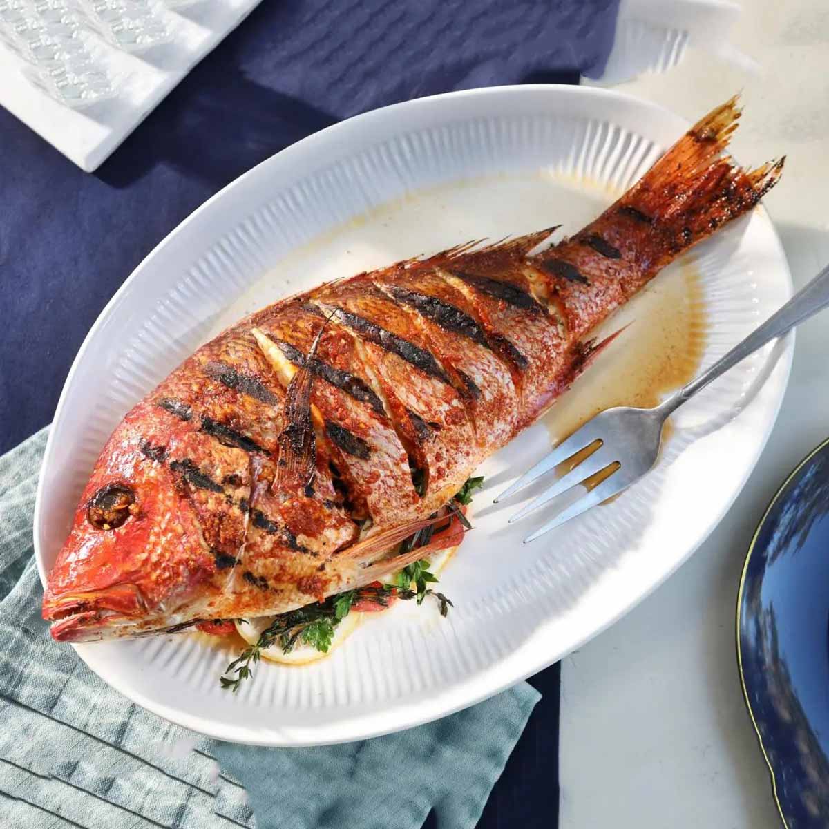 Grilled Red Snapper Fish