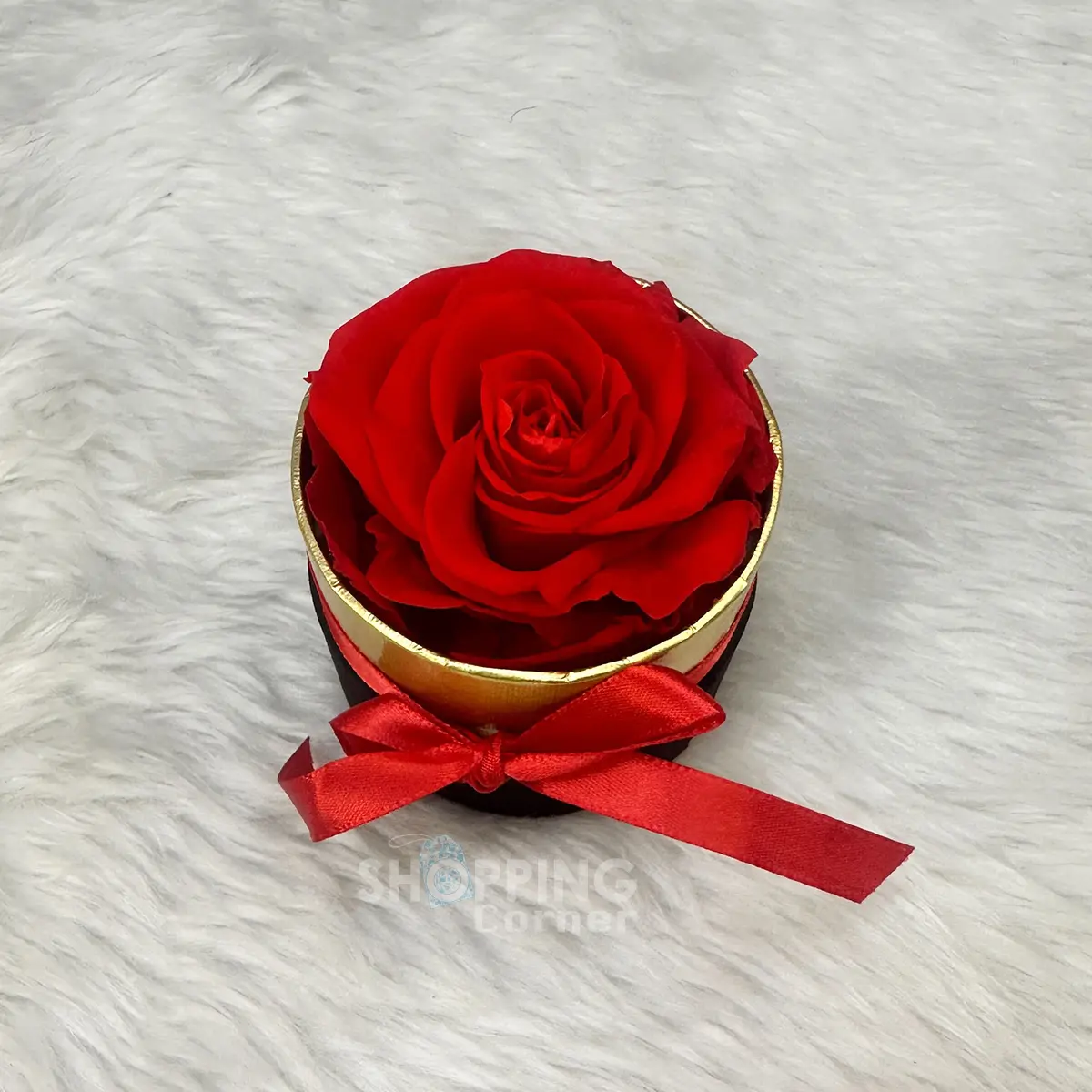 Real Eternal Preserved Red Rose Flower In Black Round Small Gift Box