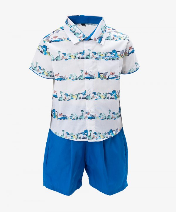 Shirt Pant Set