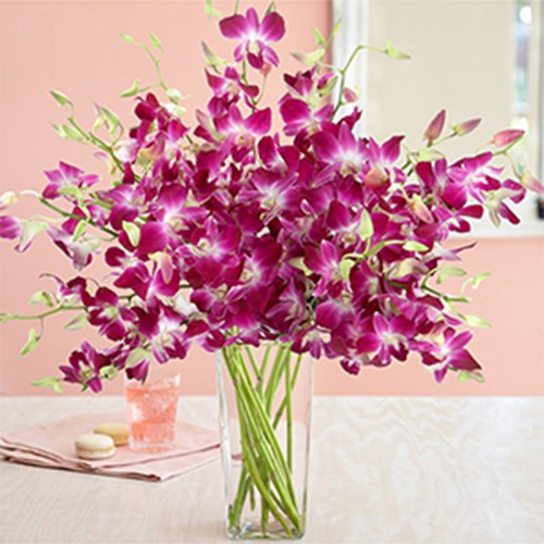 FLOWER 35