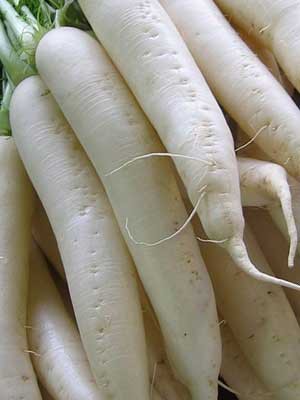 Radish