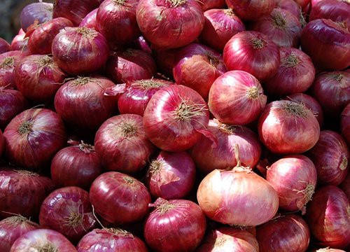Onion
