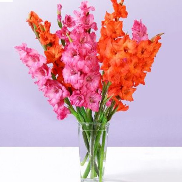 Flower Bouquet 13