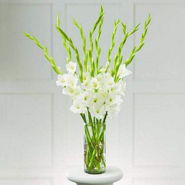 Flower Bouquet 14