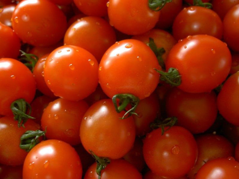Tomato