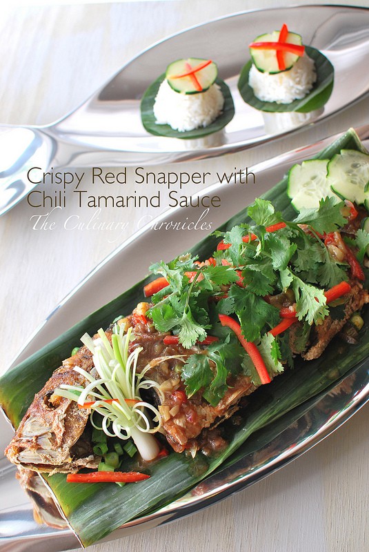 Steamp red snapper with chili