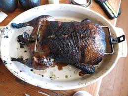 Flaming duck