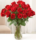 FLOWER 20