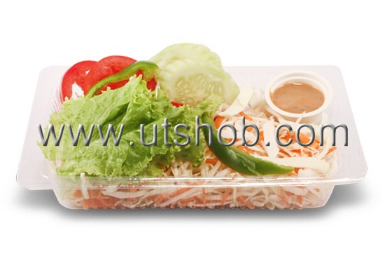 Vegetable Green Salad