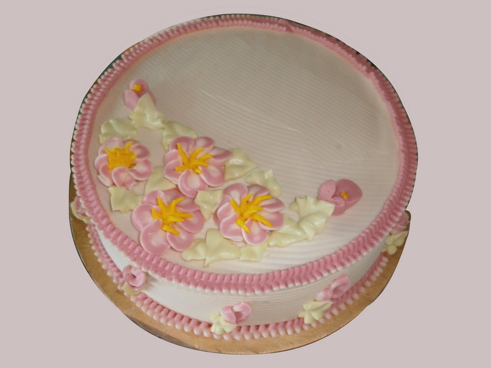 Vanila Cake