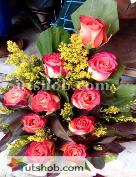 Flower 0033