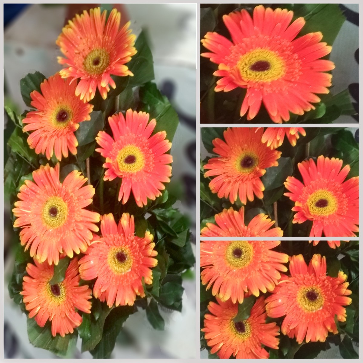 Orange Gerbera Flower Bouquet