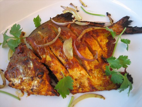 Swiming Silver Pomfret