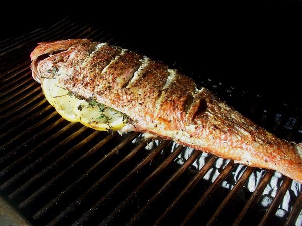 Grilled Whole Red Snapper