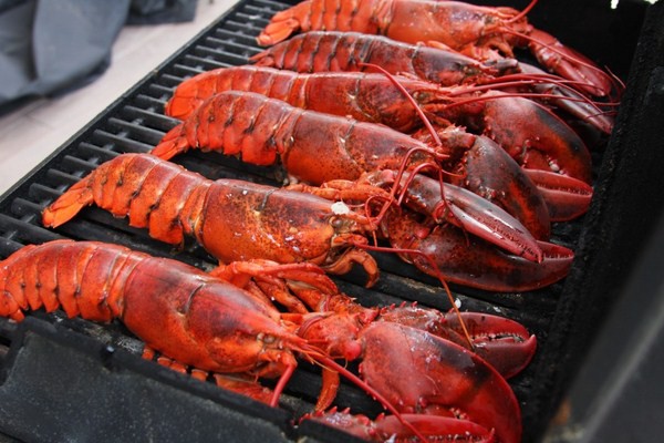 lobster Grilled / Steamed