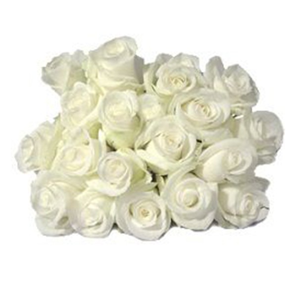 White rose bouquet 005