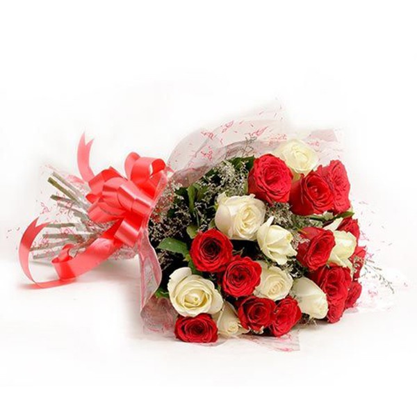 Red & White Roses