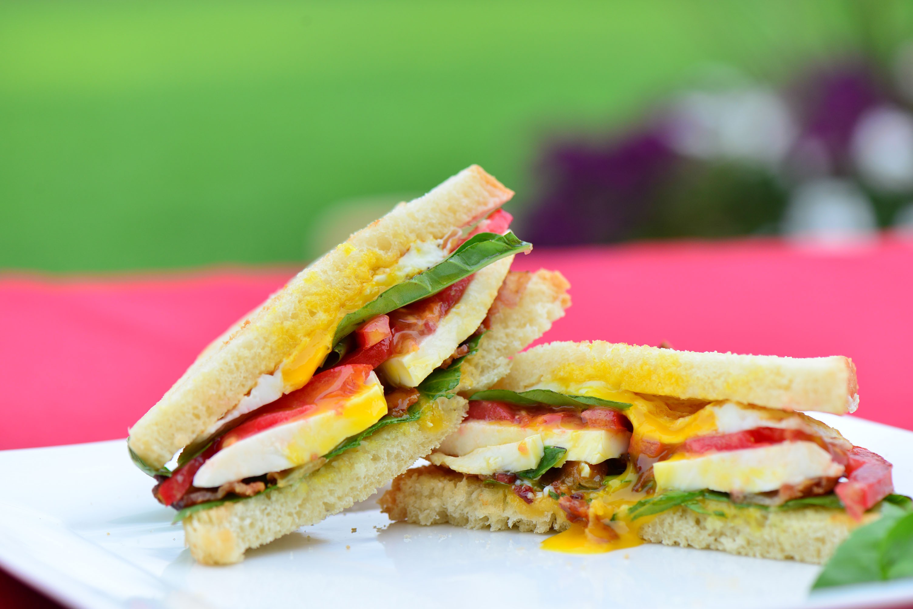 Vegetable Sandwich