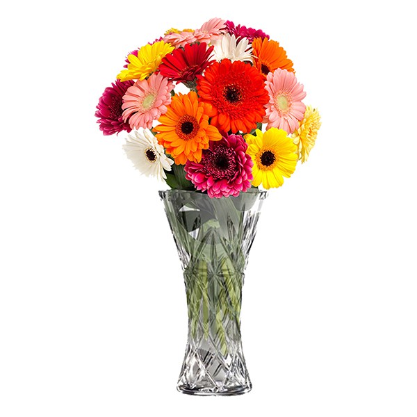 Gerbera Flower Bouquet
