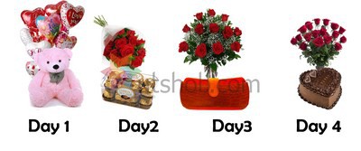 4 Days Combo 8