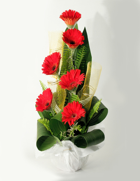 Father's Day Special Flowers Gift