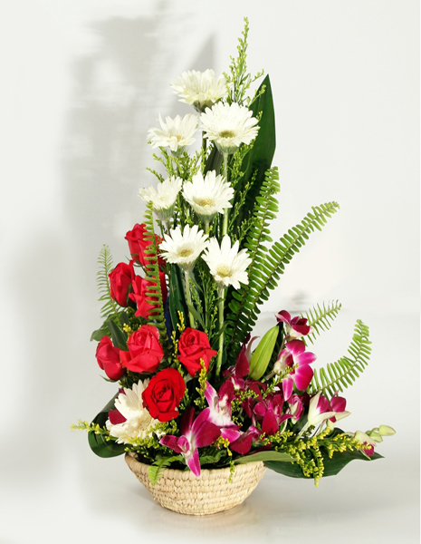 Father's Day Flowers and Gifts