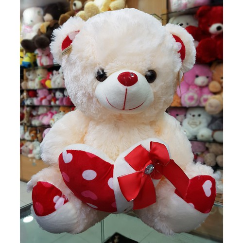 Taddy Bear 29