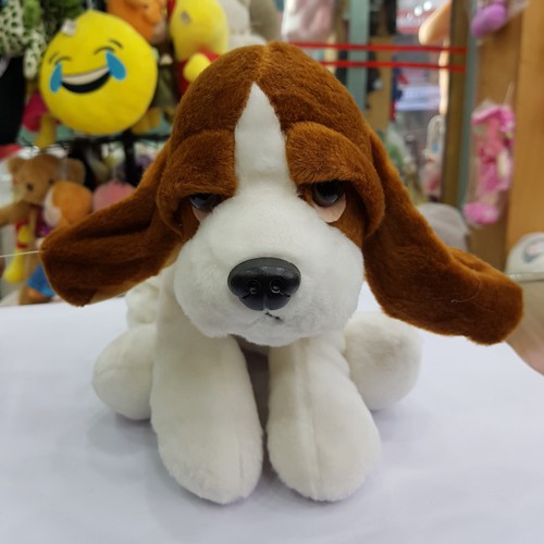 Taddy Dog 37