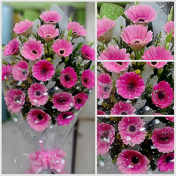 Gerbera Bouquet