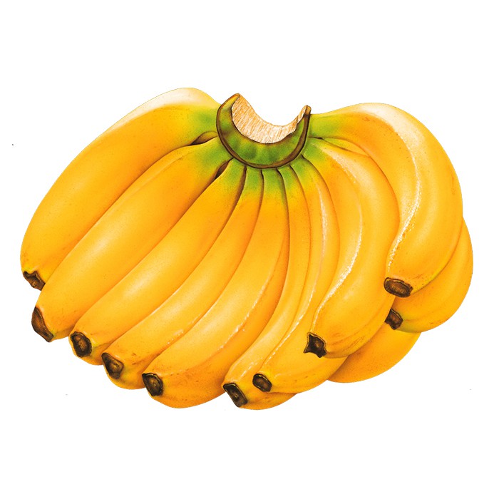 Banana (1 Dozen)