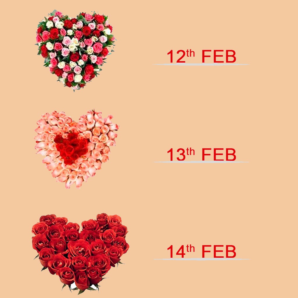 3 Day Love Surprise