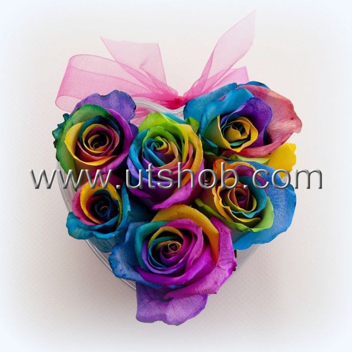 Special Heart Rainbow Roses