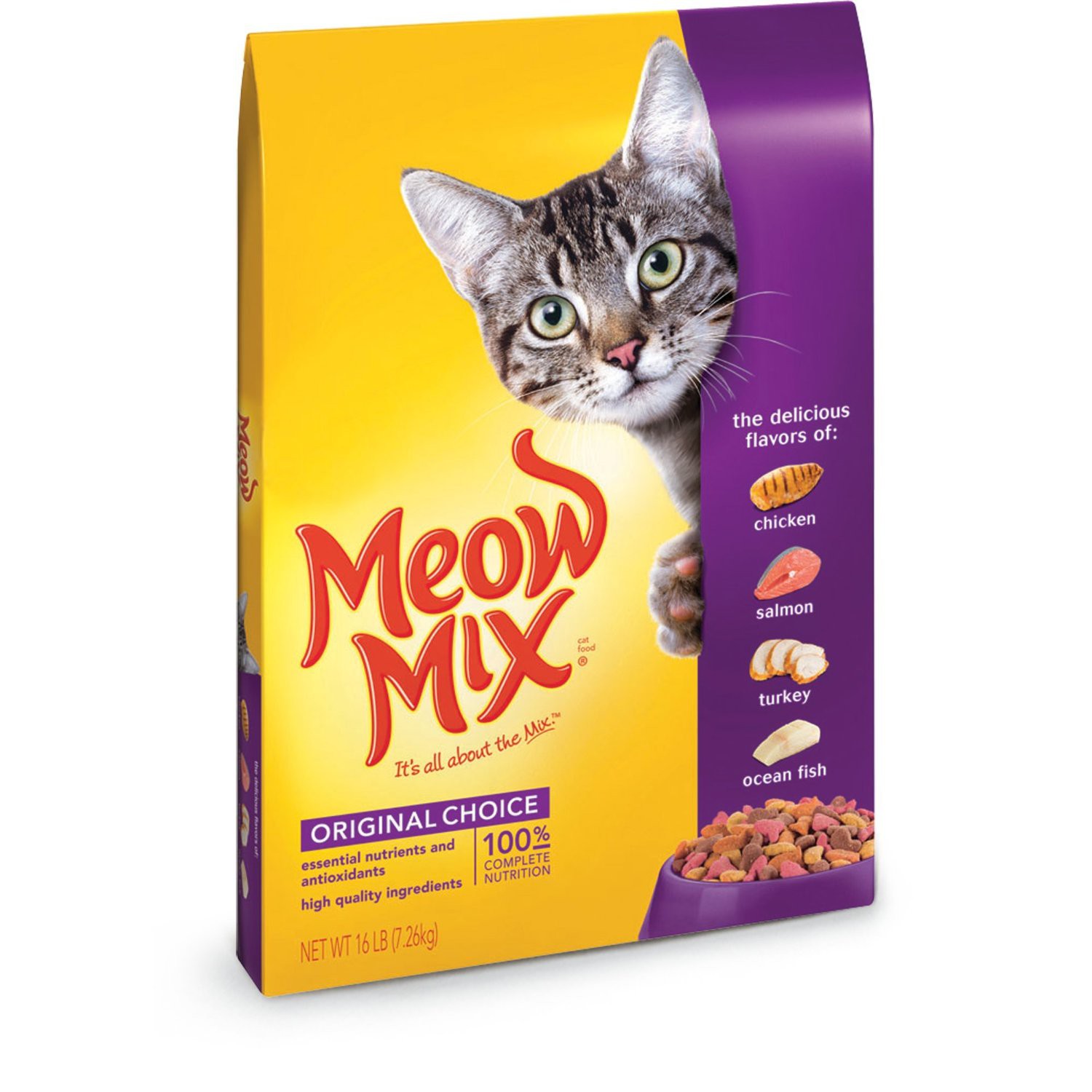 Cat Feed