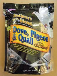 Dove Feed