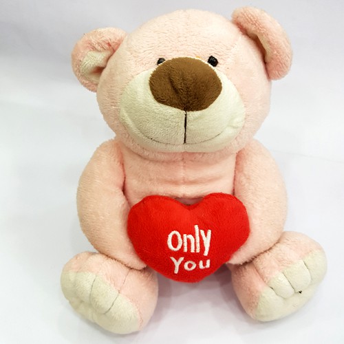 Taddy Bear 13