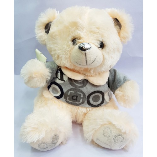Taddy Bear 17