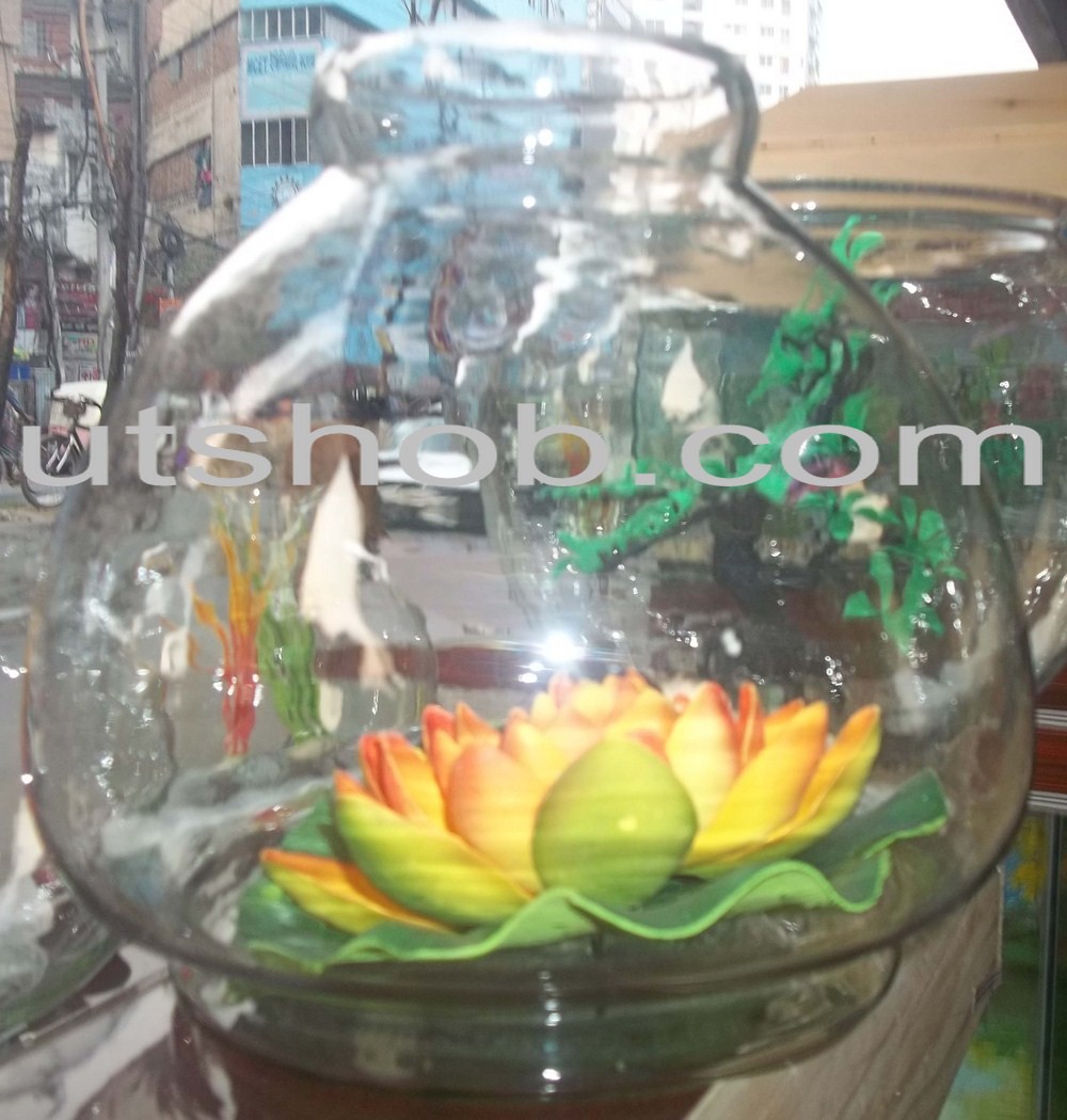 Aquarium0002