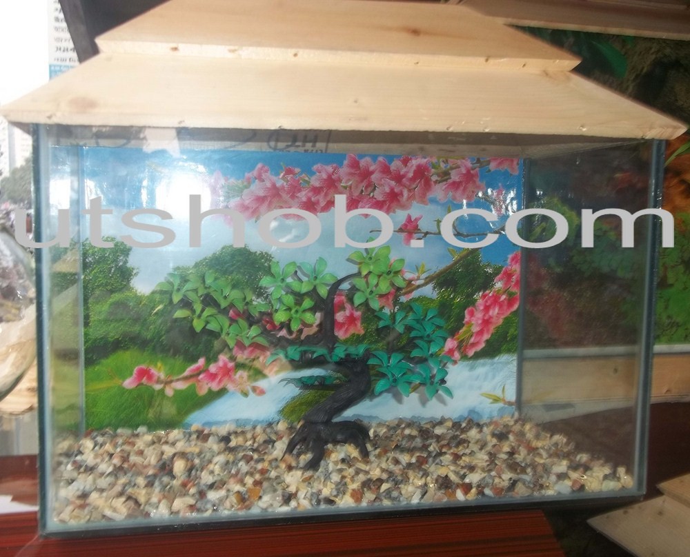 Aquarium0003