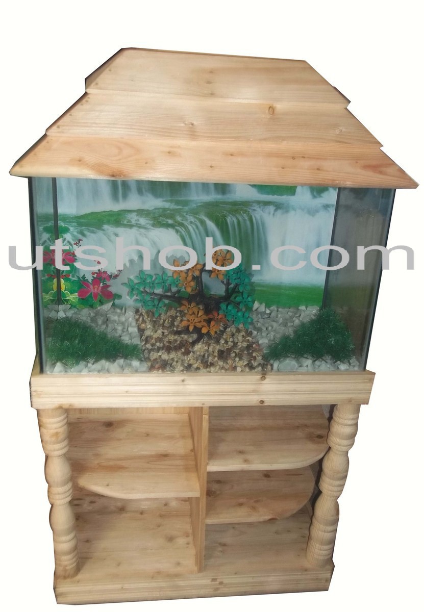 Aquarium00011