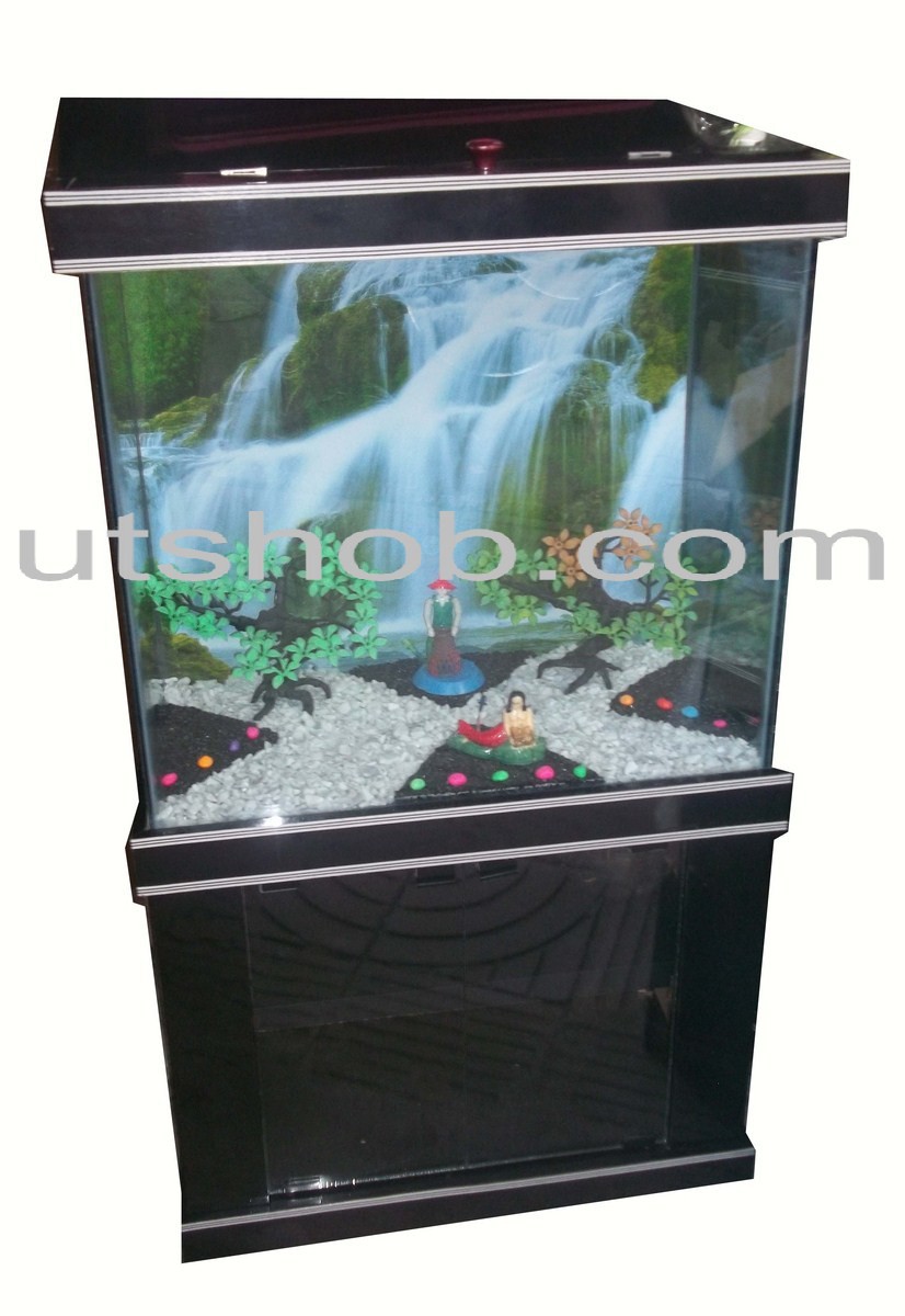 Aquarium00012