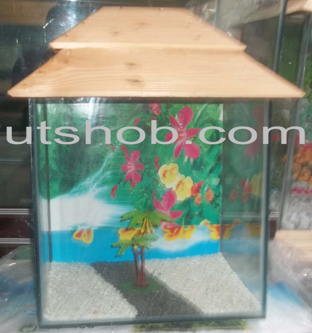Aquarium00013