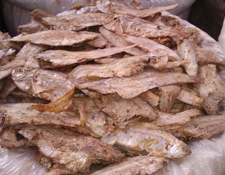 Chapila (Shutki)